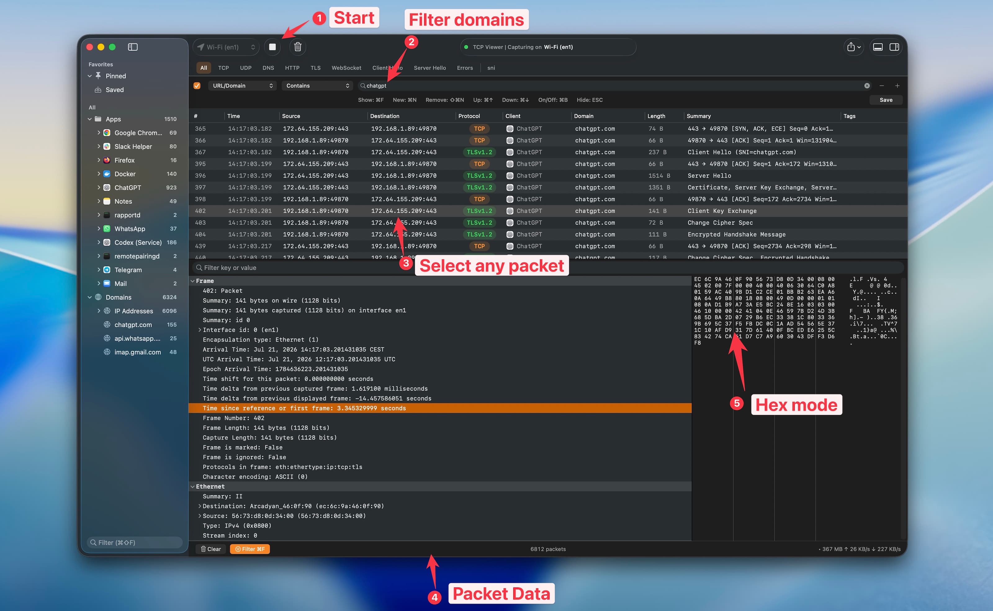 Filter a capture and inspect packet data in TCP Viewer