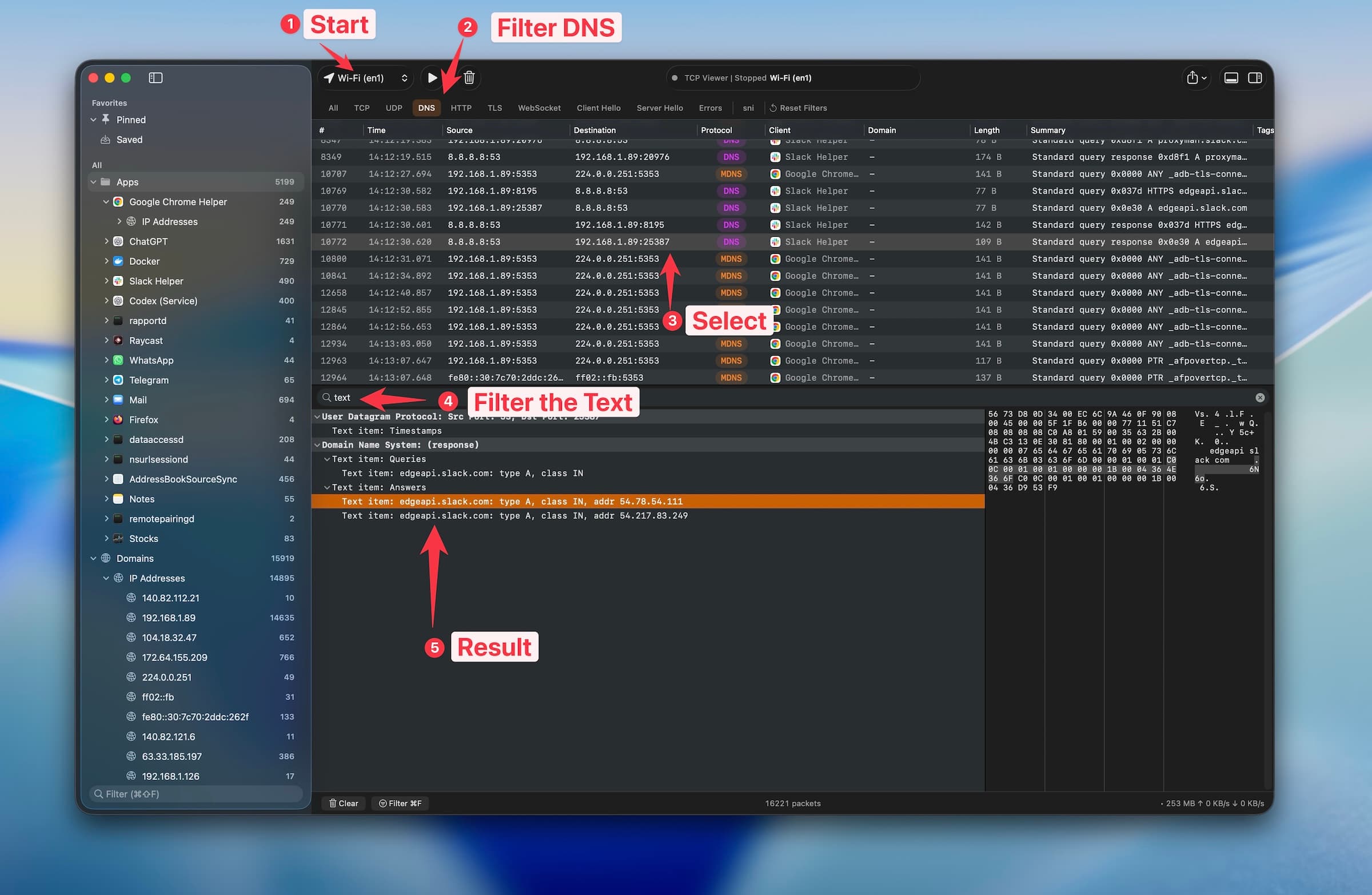 Capture DNS traffic to 8.8.8.8 and read the returned addresses in TCP Viewer