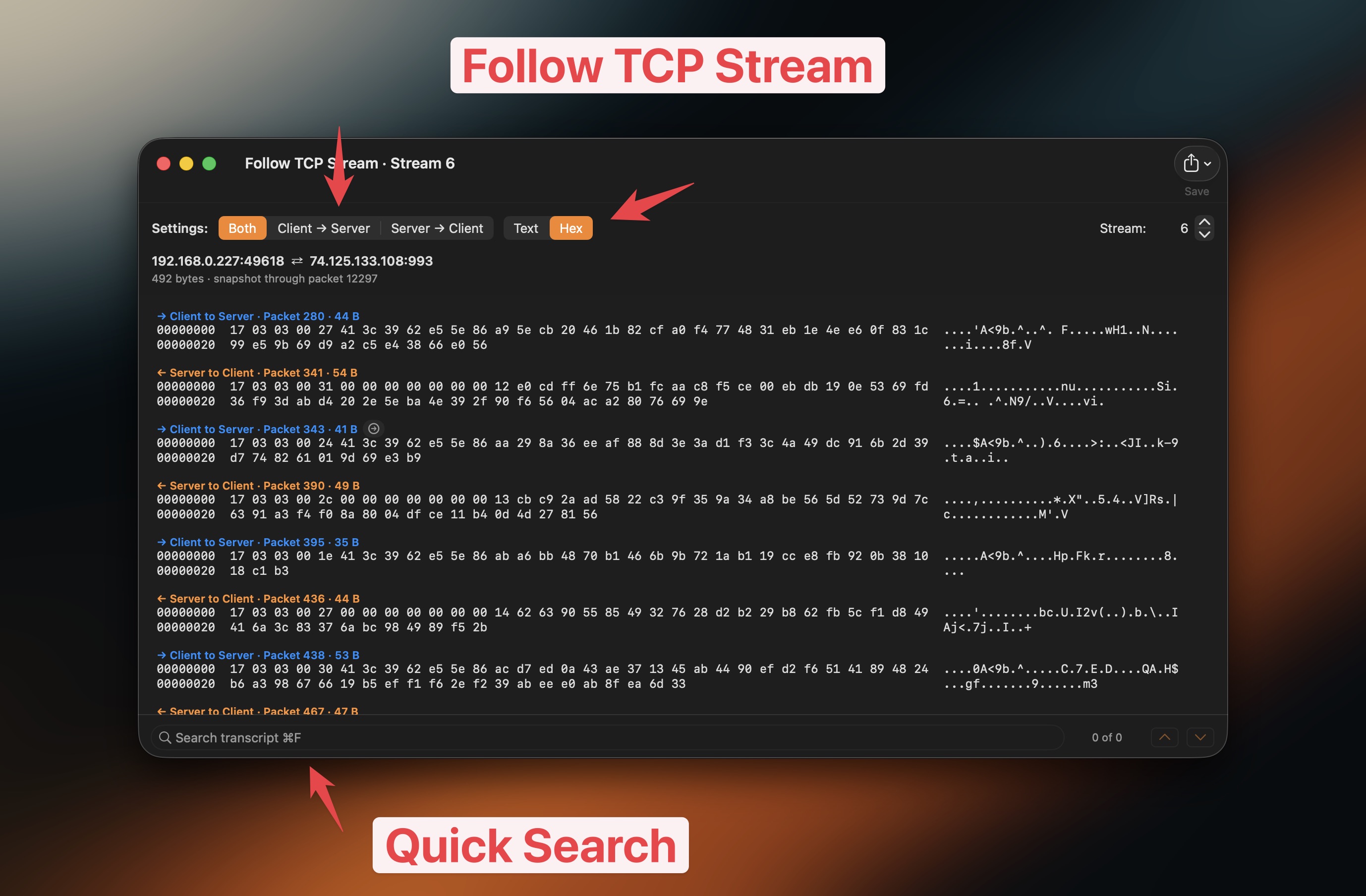 Follow TCP Stream in TCP Viewer Follow TCP Stream in TCP Viewer with direction, text, hex, and search controls