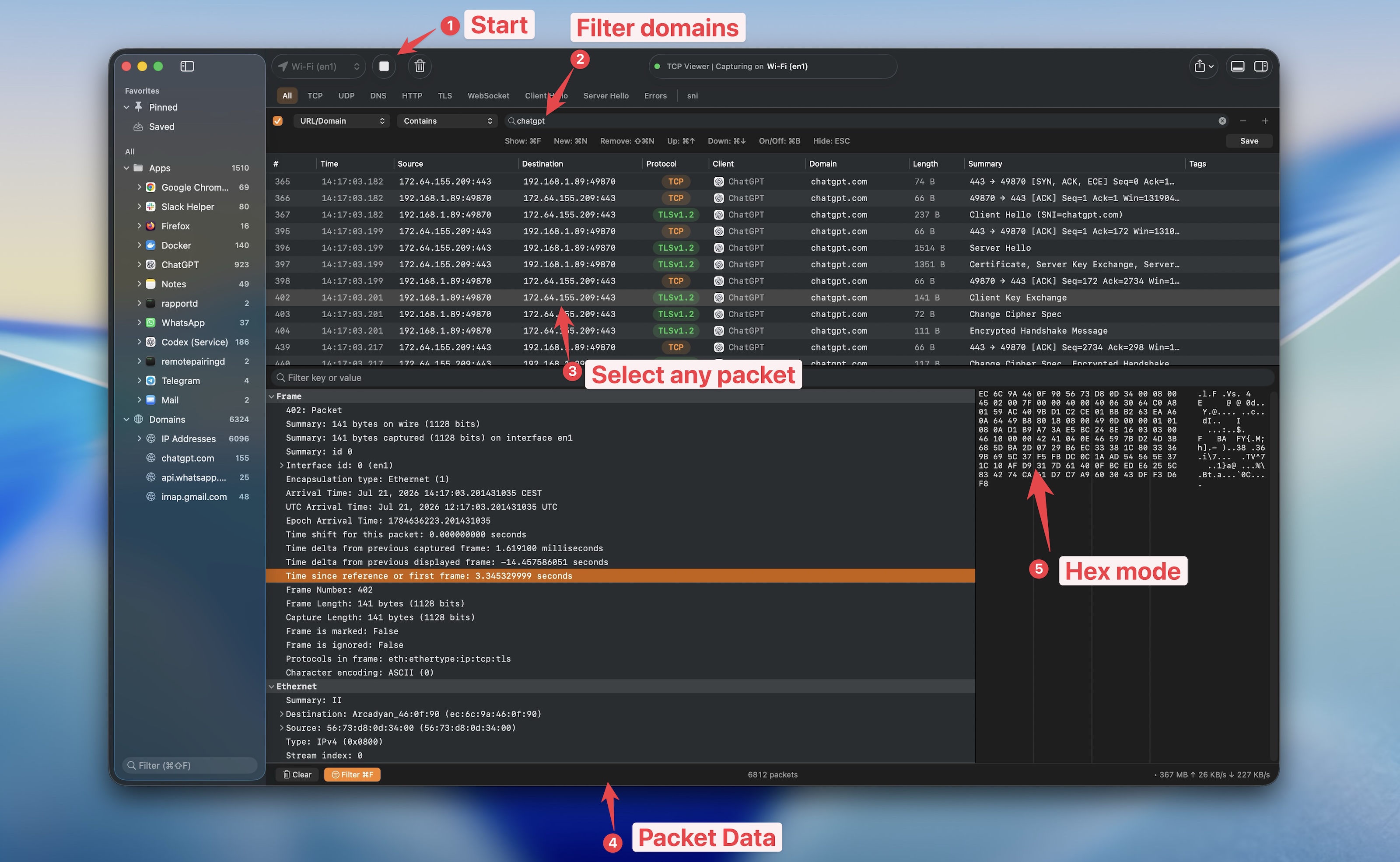 TCP Viewer packet analysis workspace TCP Viewer packet table, protocol details, and hex inspector