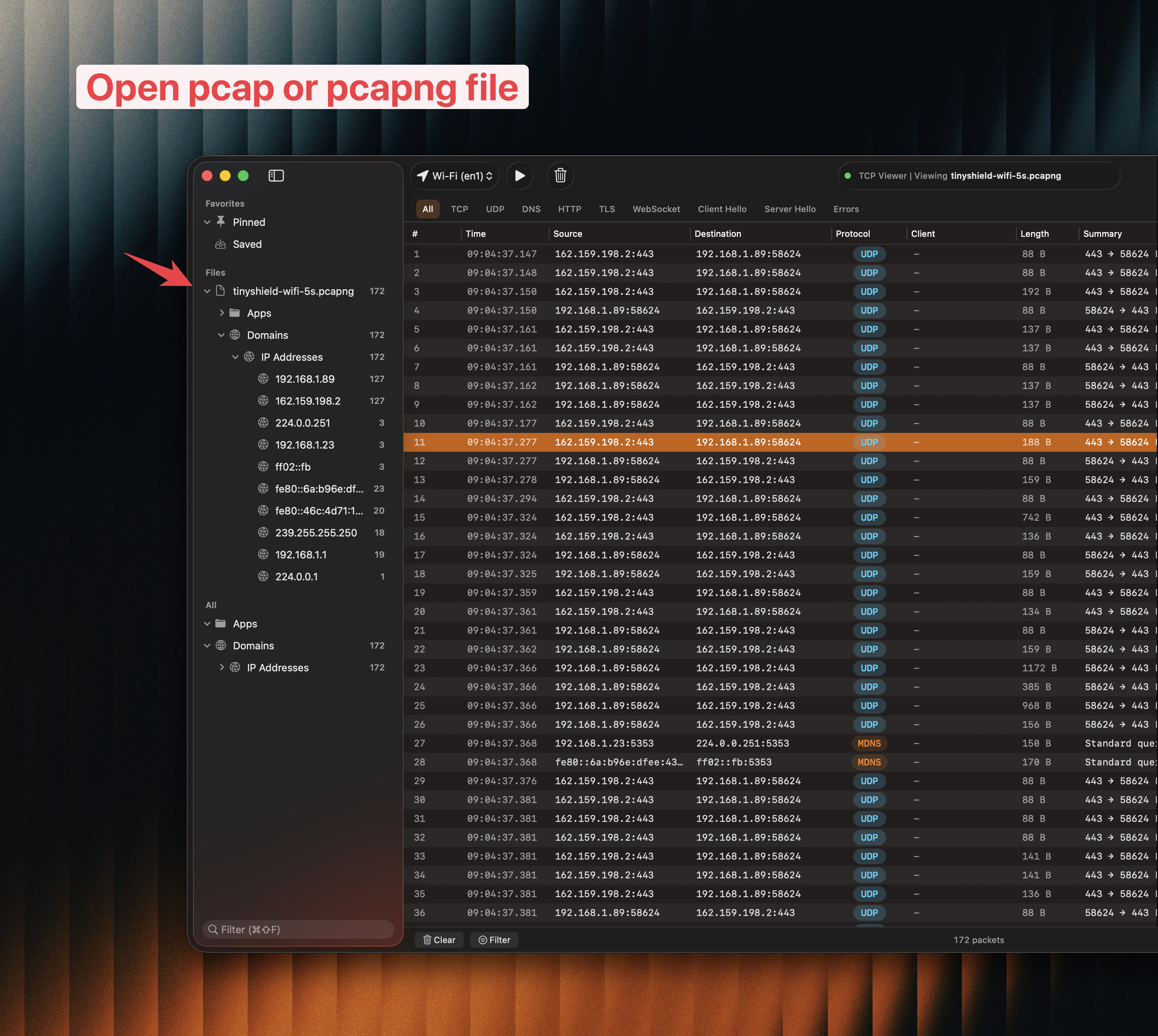 A PCAPNG capture open in TCP Viewer TCP Viewer capture file and Share controls